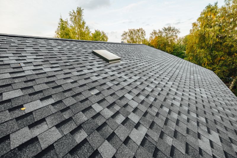 Roof Shingles Replacement